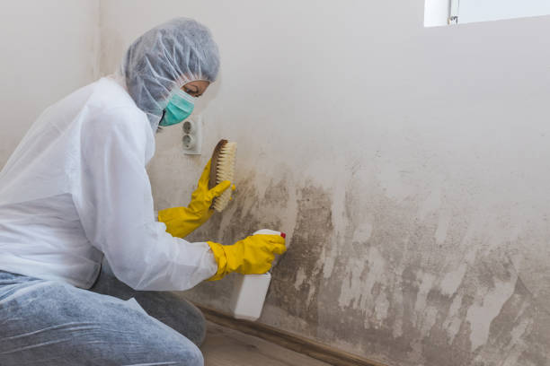 Best Residential Mold Removal  in Napavine, WA