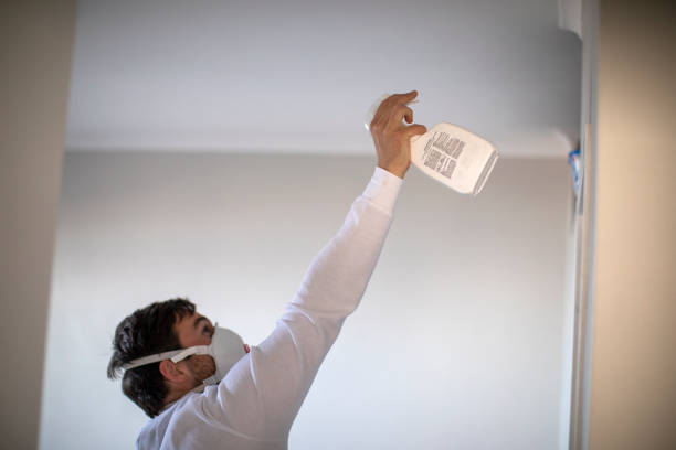 Best Water Damage Restoration  in Napavine, WA